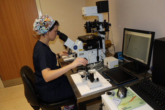 Slider image (5) Medicana International IVF Center